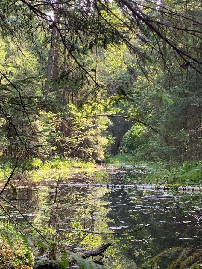 Pokoje Nadrzeczna Augustów Exteriér fotografie